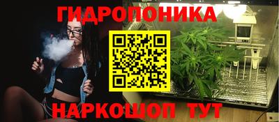 ГАЛЛЮЦИНОГЕННЫЕ ГРИБЫ Будённовск