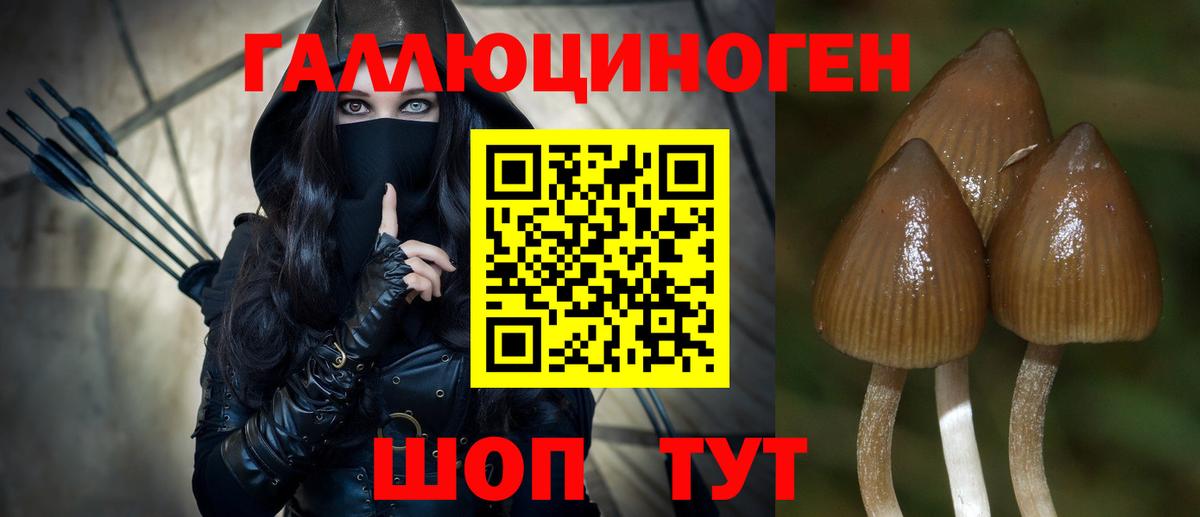 Псилоцибиновые грибы Cubensis  Галлюциногенные грибы MAGIC MUSHROOMS  купить наркоту  Вход с VPN  Шатура 
